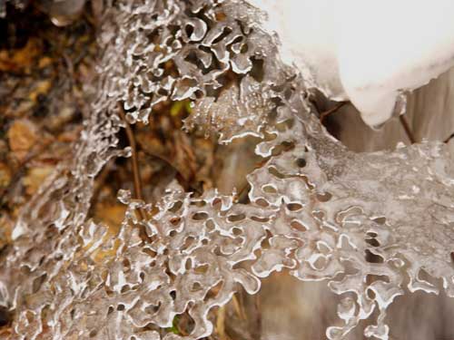 Broderia de gheata (c) L.P. Goja